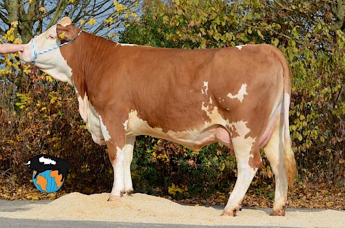 Tochter 186, 1. Lak.