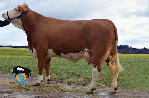 Tochter 1251, 1. Lak.