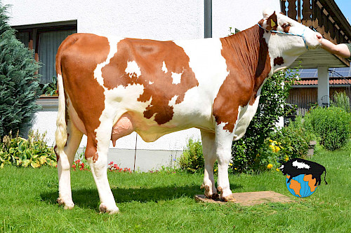 Tochter Macarena, 1.Lak.