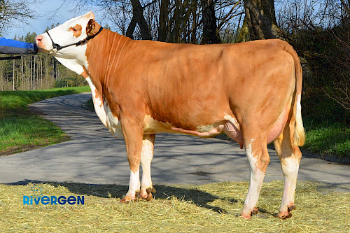 Weidwerk Tochter Henriette 1. Lak.