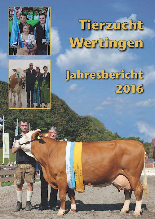 Titelbild Jahresbericht 2016