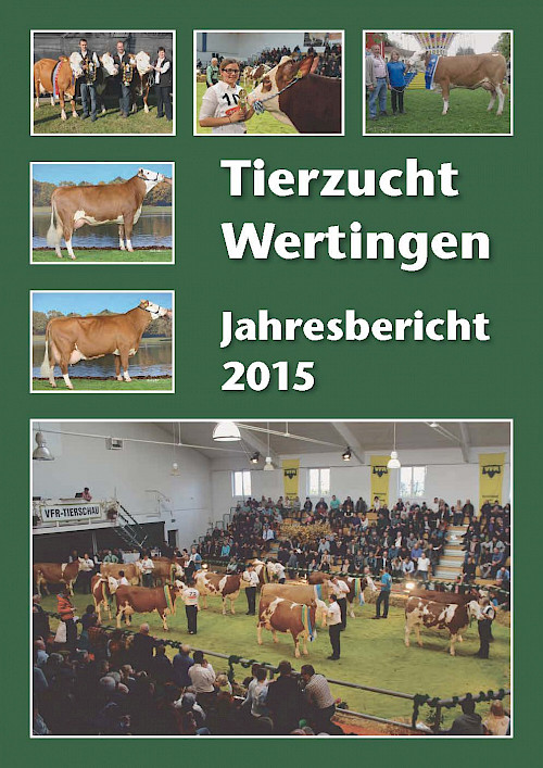Titelbild Jahresbericht 2015