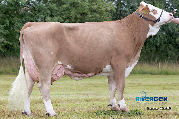 Vollschwester zur Mutter Nelly 2. Lak