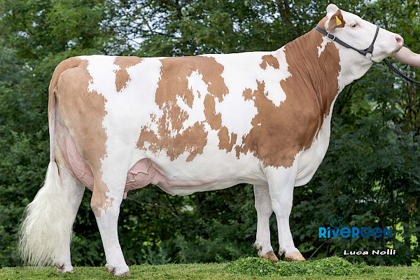 Mutter Rolli 1. Lak.