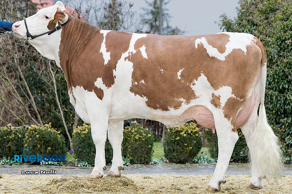 Halbschwester zur Mutter, Icegirl Pp (V: Herakles PS), 1. Lak.