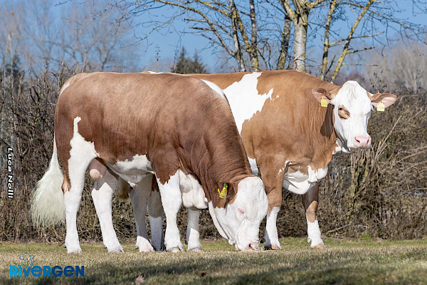 McRiver PS mit Mutter Mingo PP