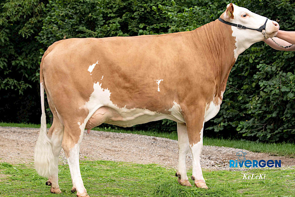 Großmutter Lancia, 1. Lak.