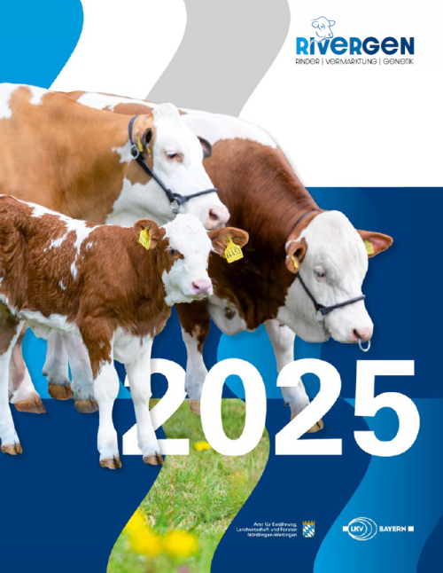 Titelbild Jahresbericht 2025